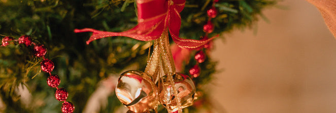 December 2022 Newsletter