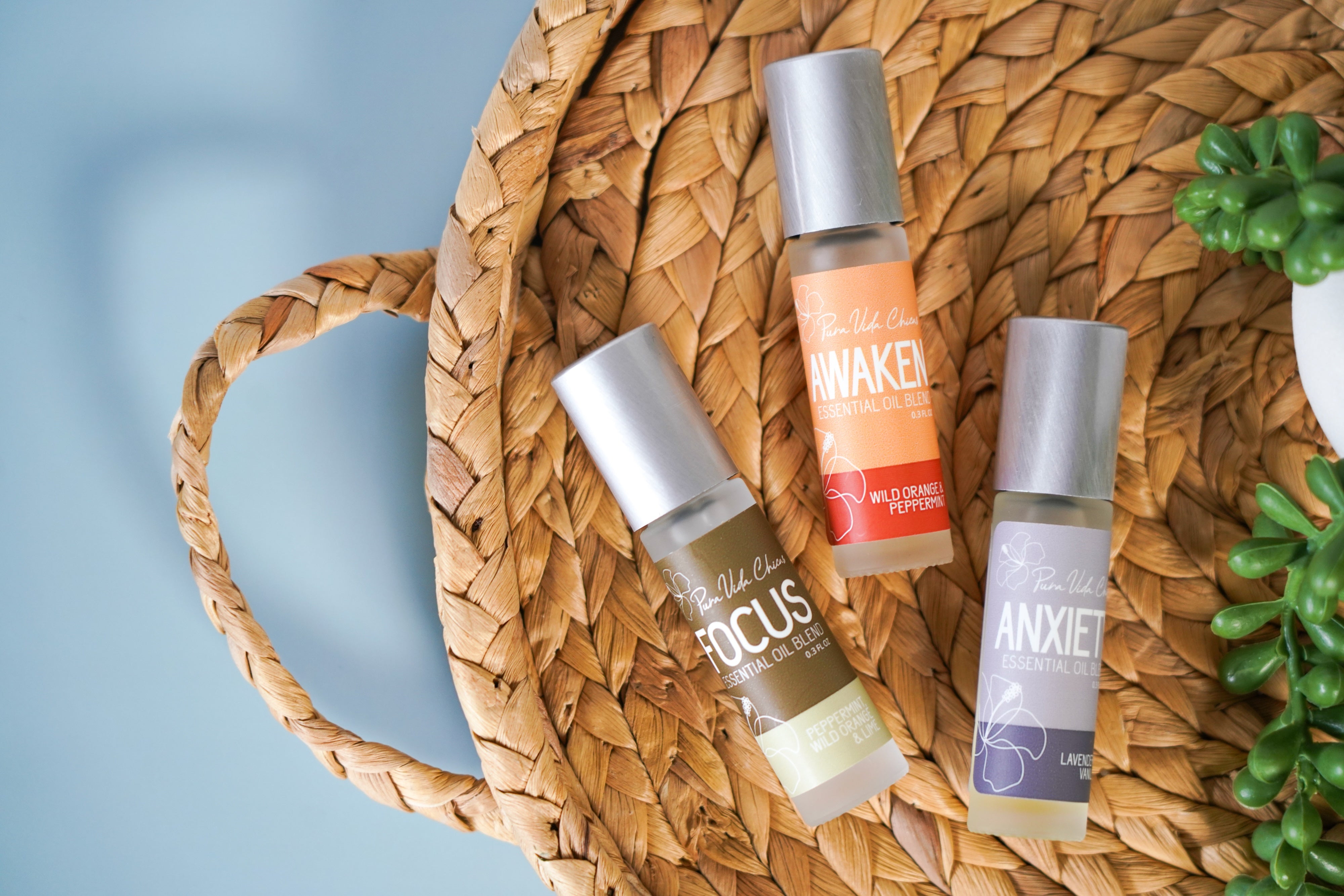 Back To School Aromatherapy Roller Set