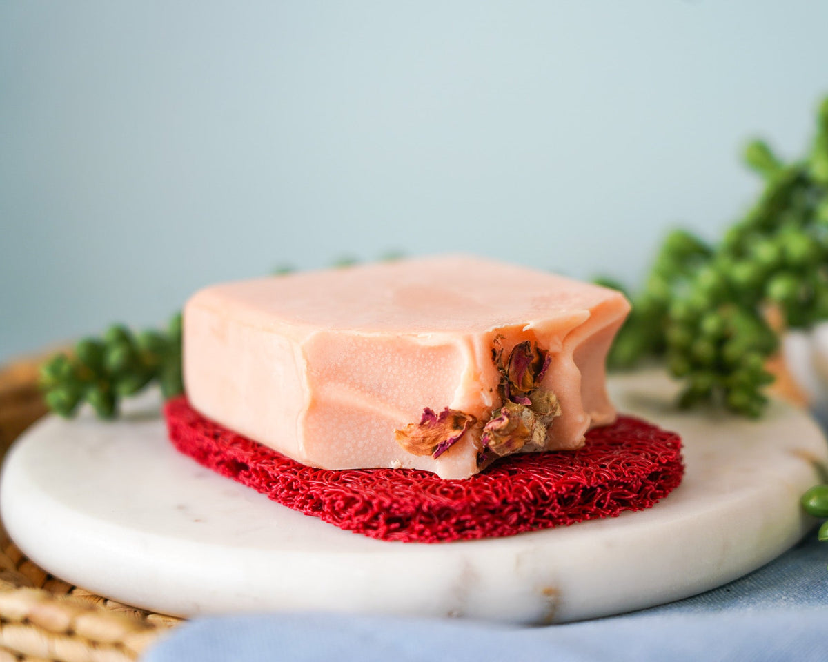 Soap Saver