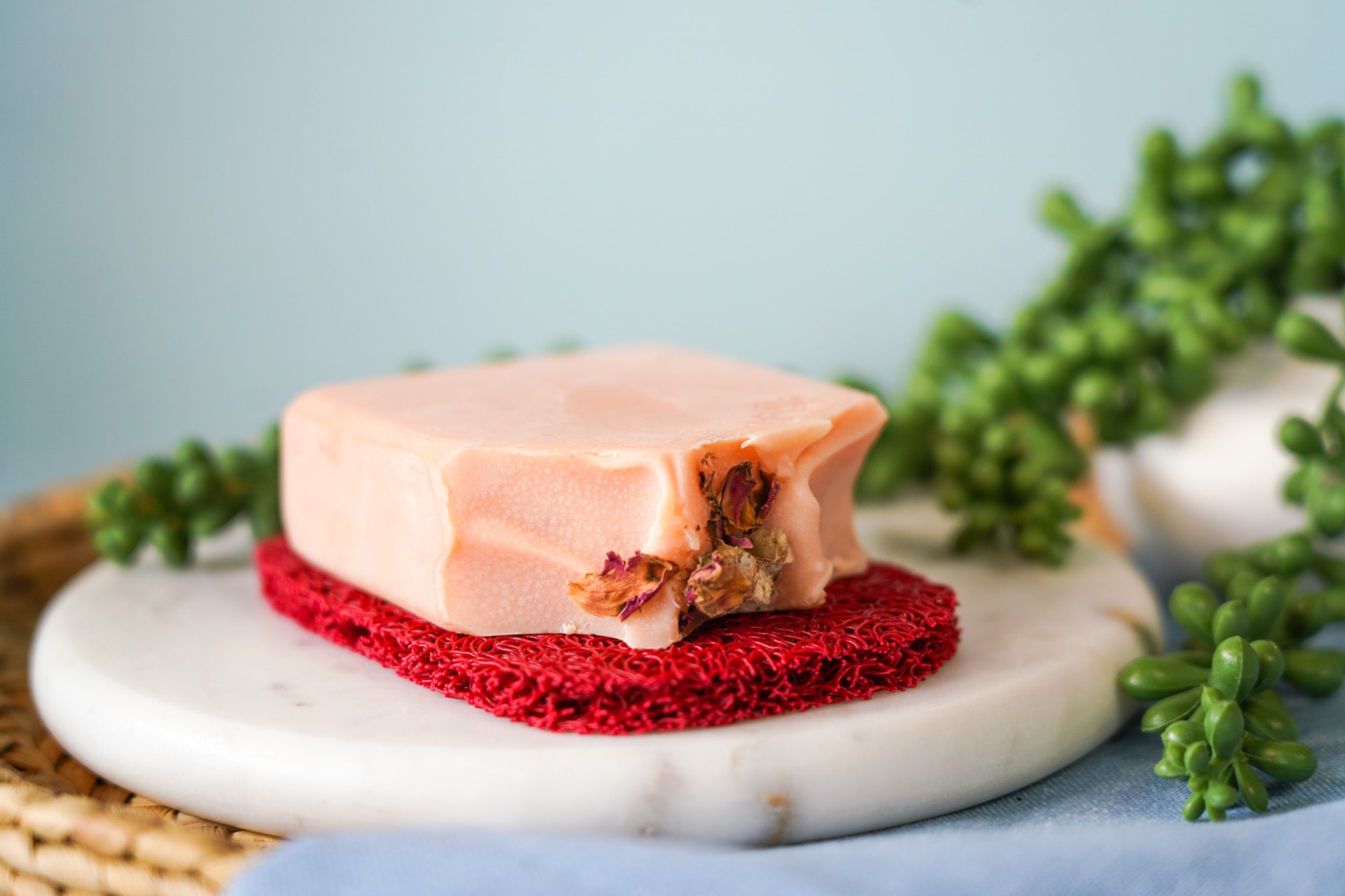 Soap Saver