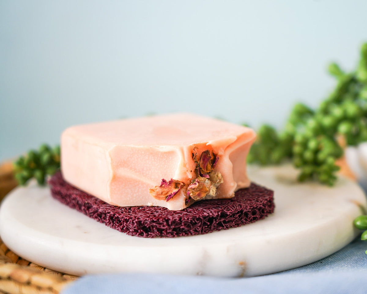Soap Saver