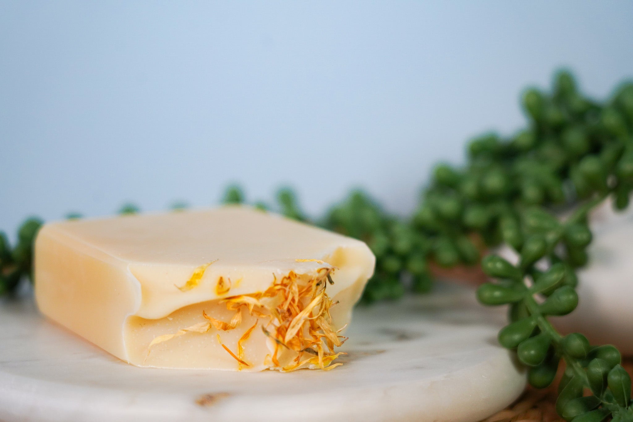 Organic Lemongrass Soap