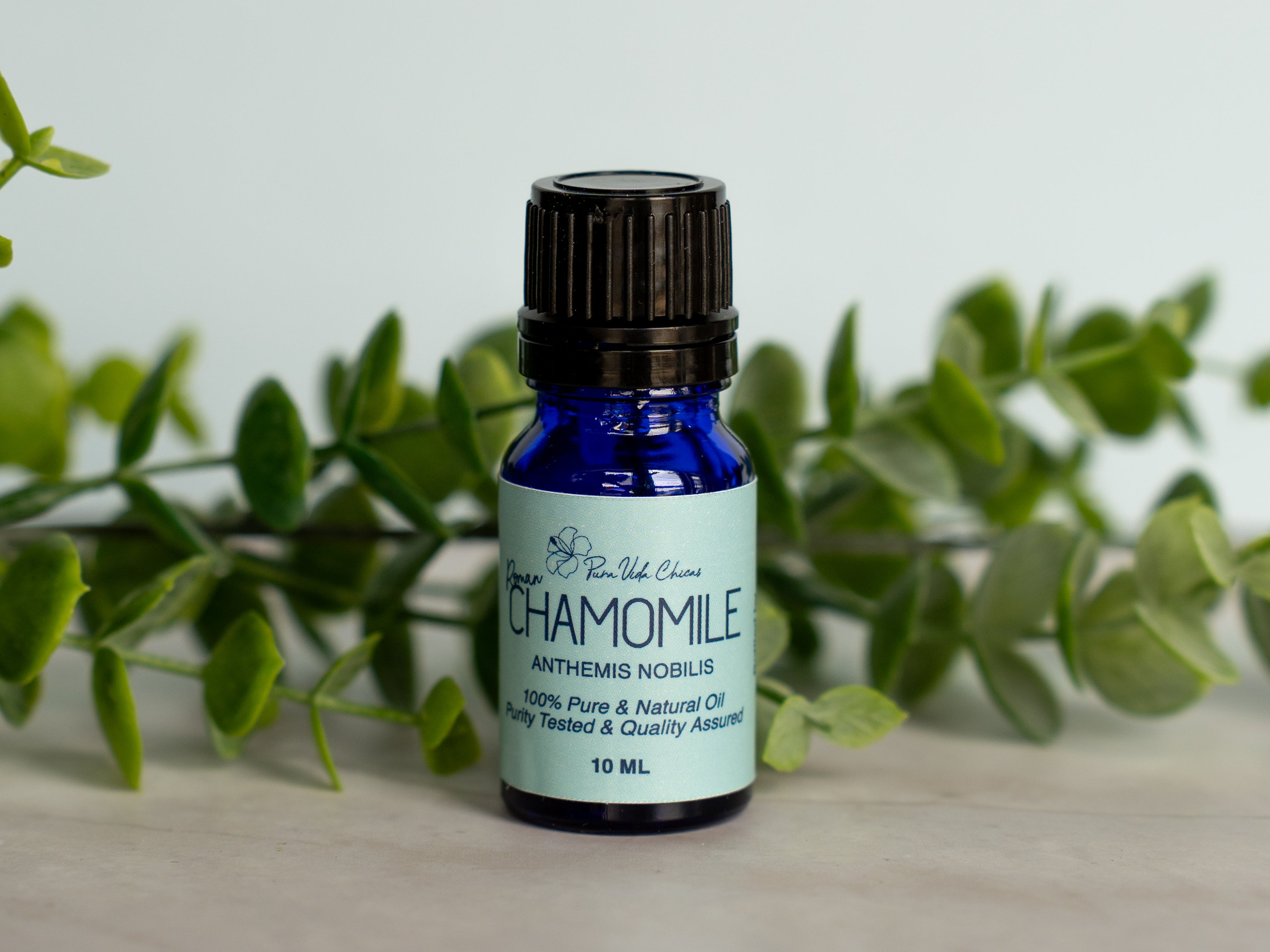 Roman Chamomile Essential Oil