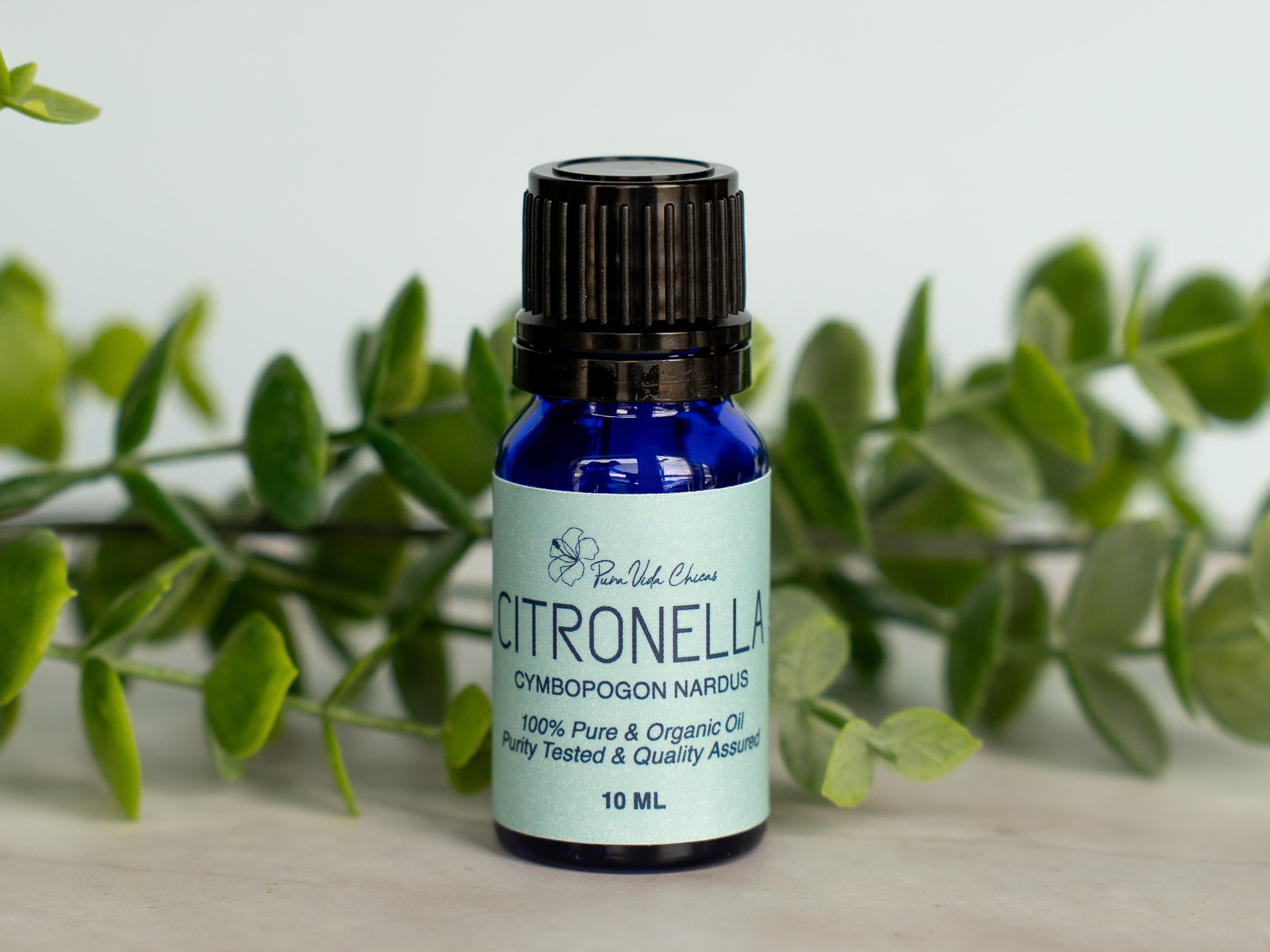 Citronella Essential Oil