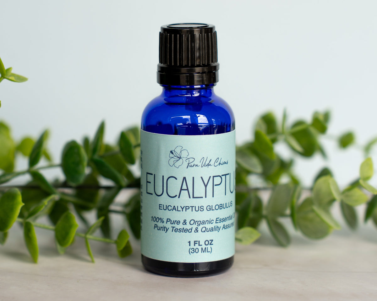 Eucalyptus Essential Oil