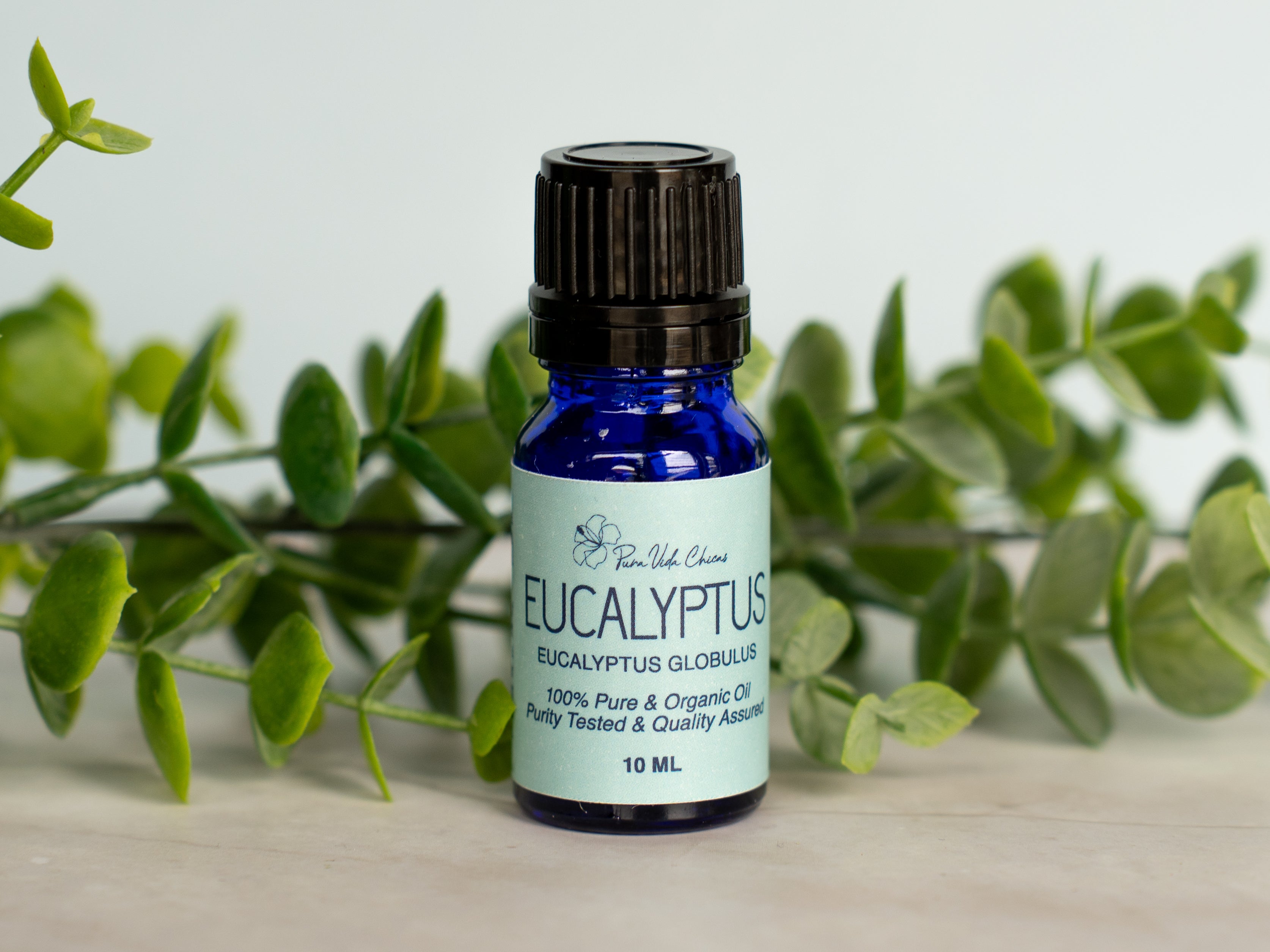 Eucalyptus Essential Oil