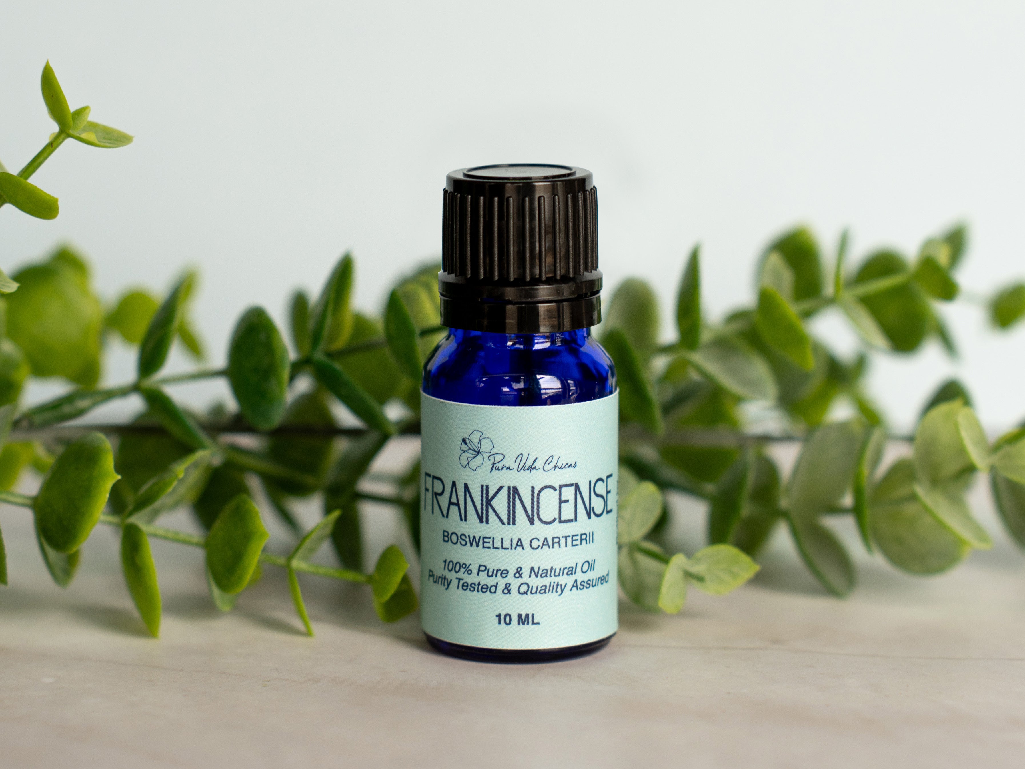 Frankincense Essential Oil
