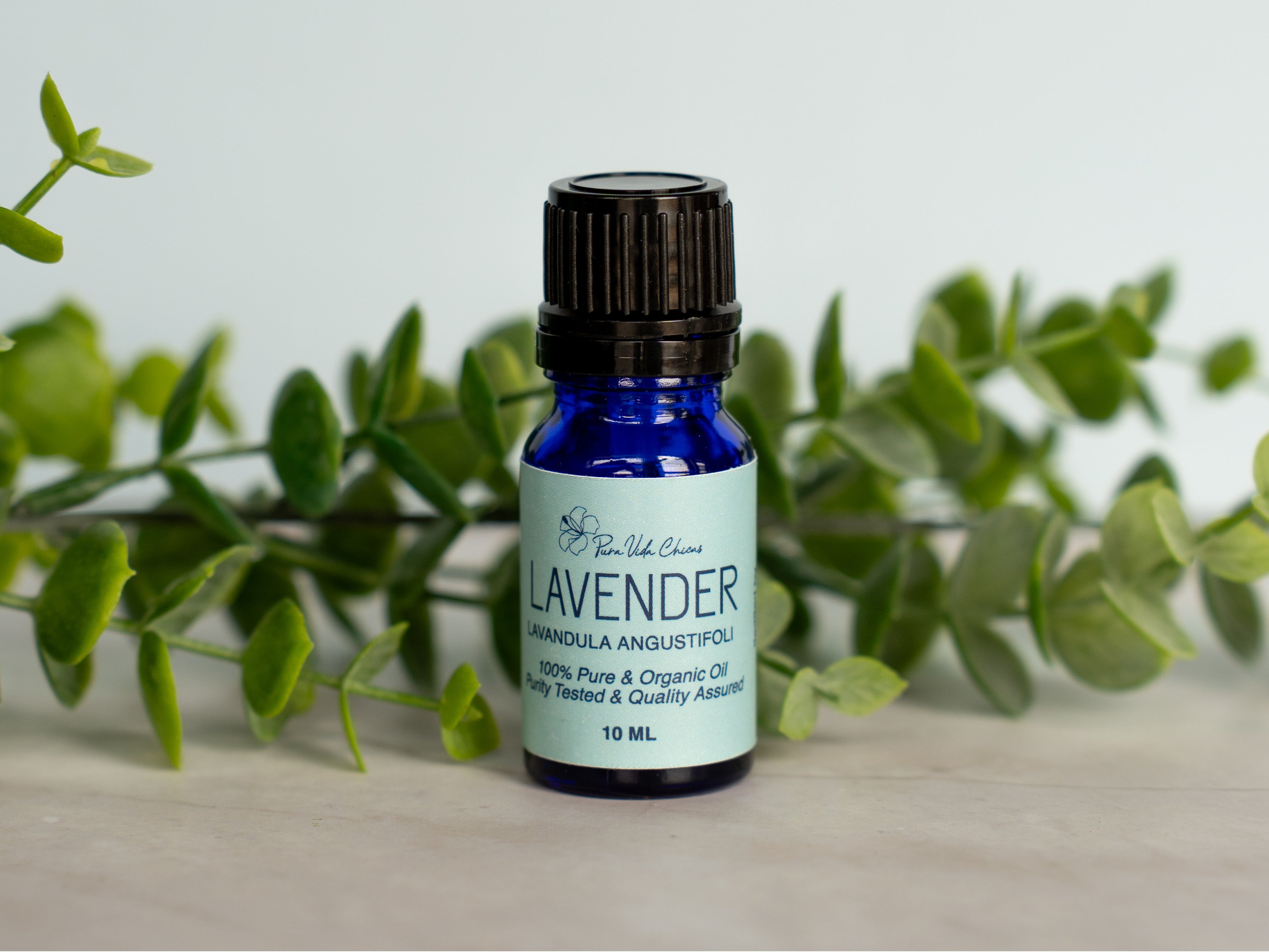 Lavender Essential Oil