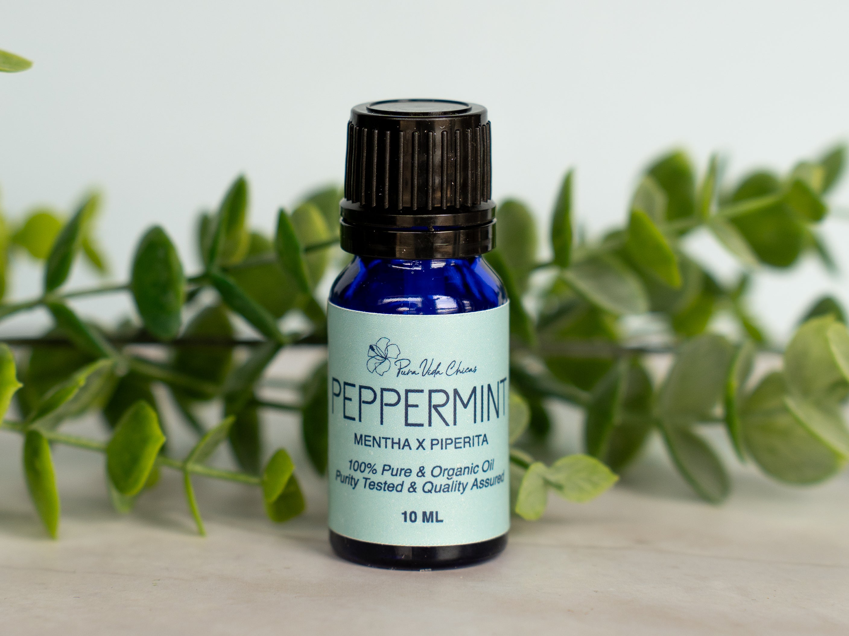 Peppermint Essential Oil