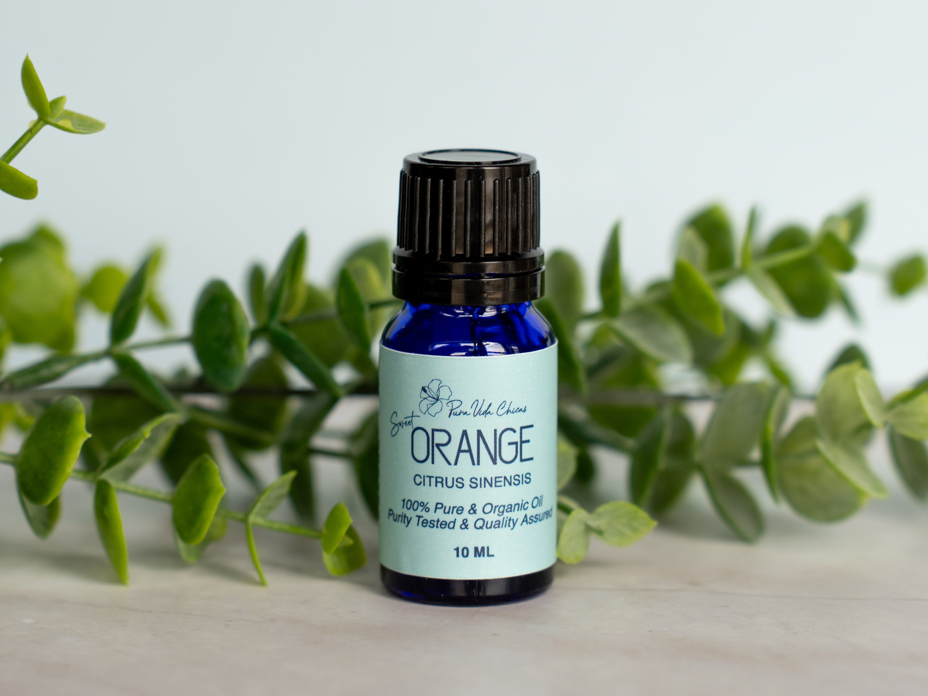 Sweet Orange Essential Oil