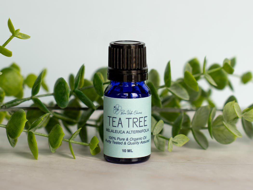 Tea Tree Essential Oil