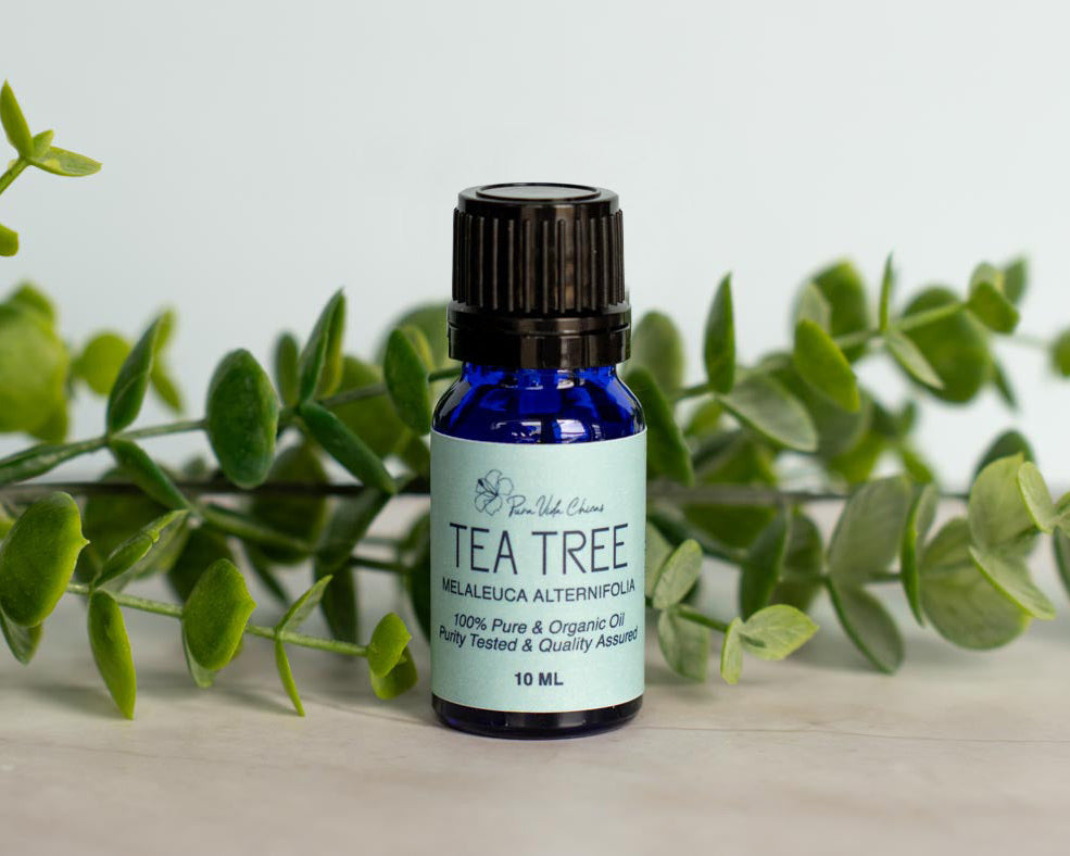 Tea Tree Essential Oil