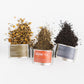 Sunrise to Sunset Tea Trio